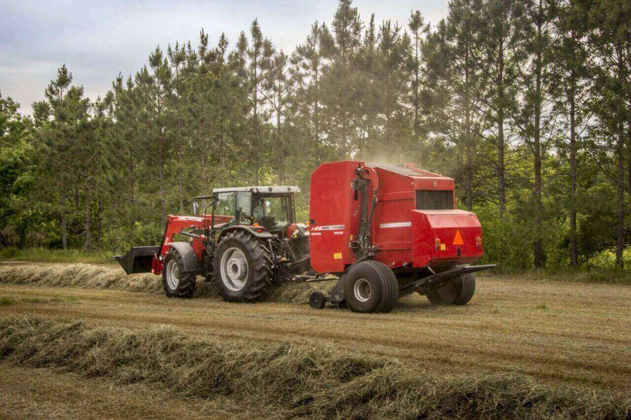 =Massey Ferguson on field