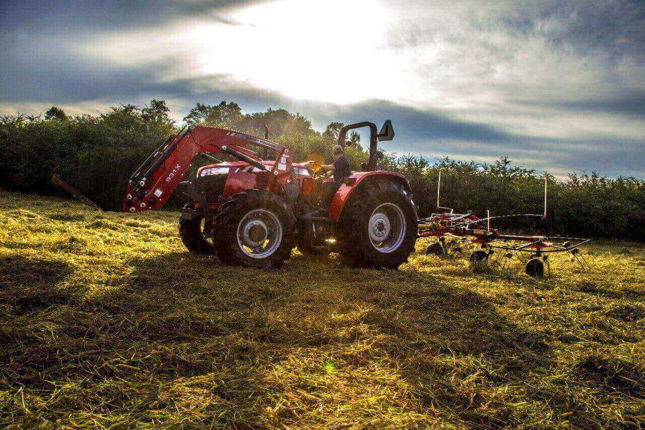 =Massey Ferguson by sunrise
