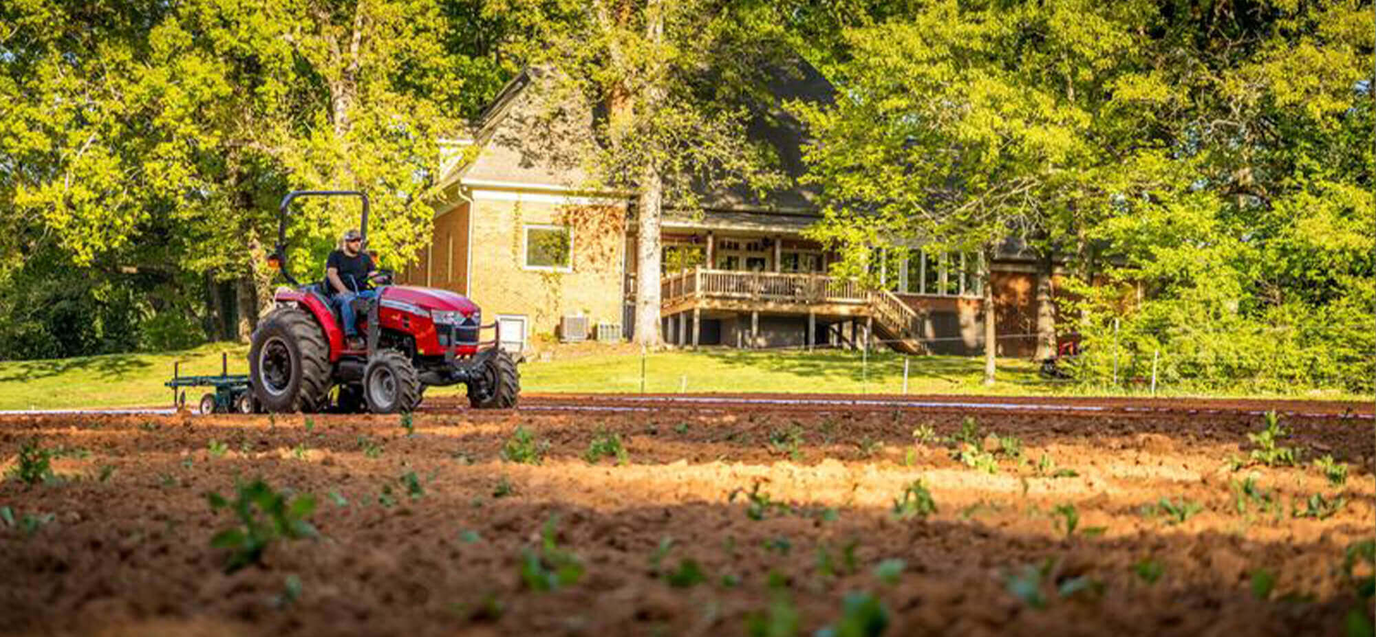 Massey Ferguson Rakes For Sale